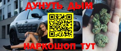 сатива Бузулук