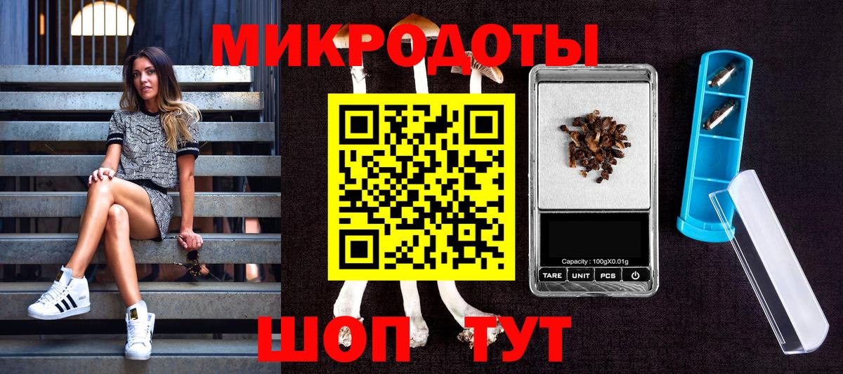 Саранск  Псилоцибиновые грибы мицелий  Псилоцибиновые грибы MAGIC MUSHROOMS  Вход с VPN 