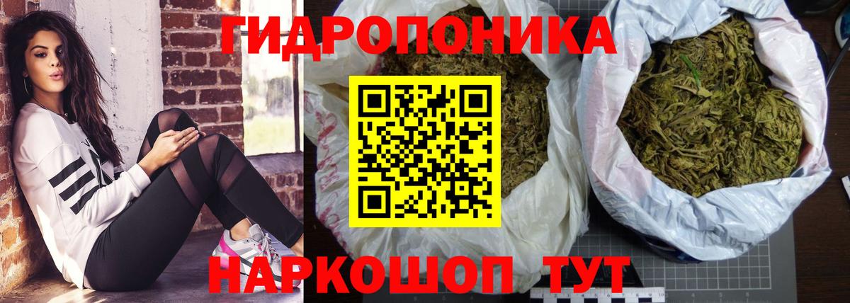 Саранск  Каннабис ГИДРОПОН  Канабис семена  Вход с VPN  Конопля AK-47 